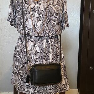 Vintage Coach Carnival